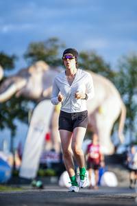 BIB: 
                            <button type="button" onclick="openModal(26541281)" class="btn btn-primary btn-sm float-right btn-popup" data-toggle="modal" data-target=".modal-high-quality">
                        <i class="fas fa-shopping-cart"></i> Add to Cart
                    </button>
                                            <button type="button" onclick="isThisMe(26541281, true)" class="btn btn-success btn-sm float-right btn-popup btn-isme hidden" data-toggle="tooltip" data-placement="bottom" title="นี่คือรูปของคุณใช่ไหม คลิกที่นี่เพื่อเอาเข้าอัลบั้ม">
                        <i class="fas fa-plus"></i> Add to album
                    </button>
                    <button type="button" onclick="isThisMe(26541281, false)" class="btn btn-warning btn-sm float-right btn-popup btn-isnotme hidden">
                        <i class="fas fa-ban"></i> Remove from album
                    </button>